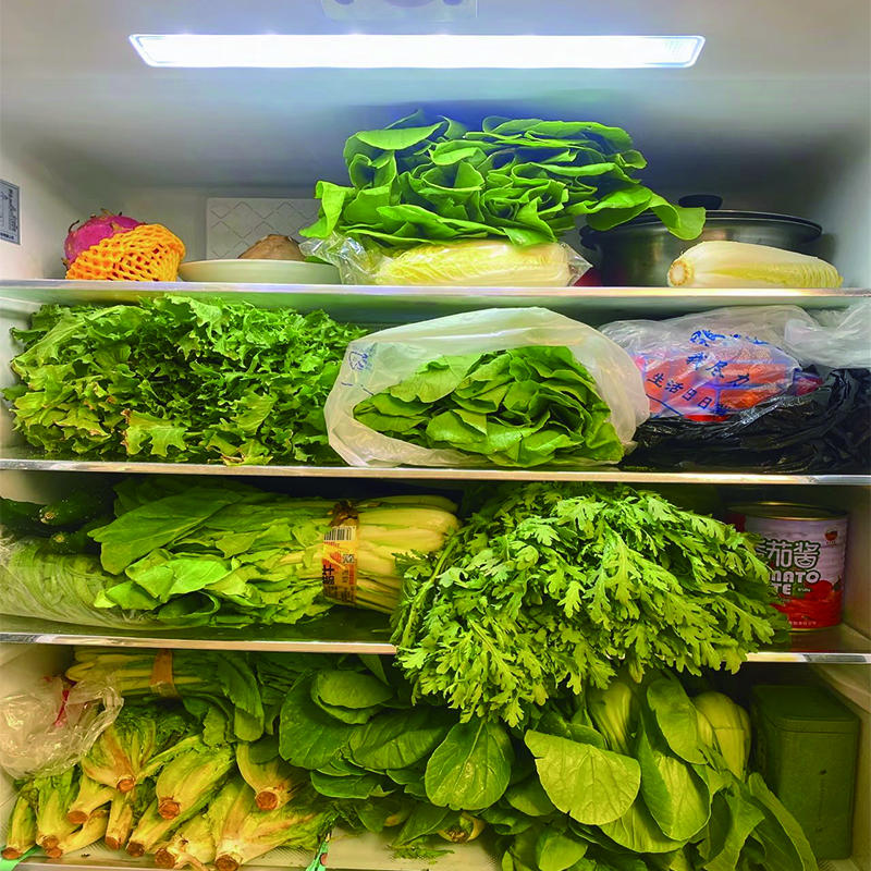 有哪些食品保鲜方法可以延长食物保质期